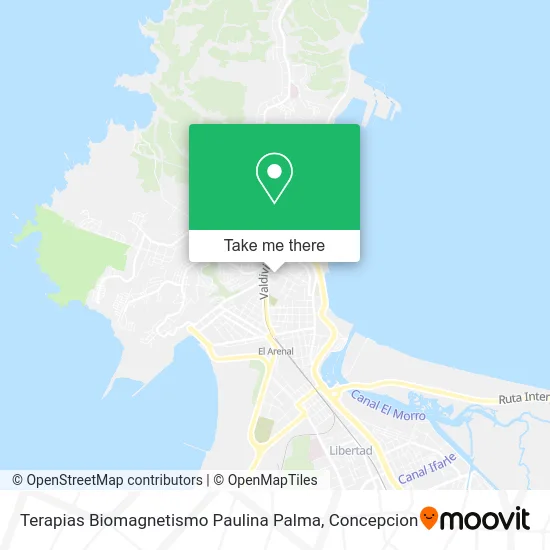 Mapa de Terapias Biomagnetismo Paulina Palma