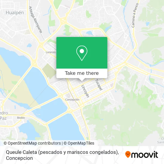 Mapa de Queule Caleta (pescados y mariscos congelados)