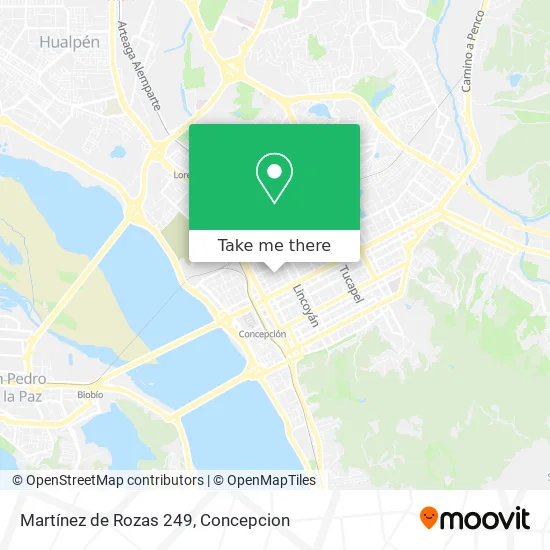 Mapa de Martínez de Rozas 249