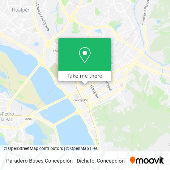 Mapa de Paradero Buses Concepción - Dichato