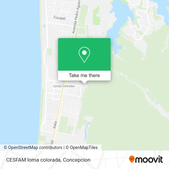 Mapa de CESFAM loma colorada
