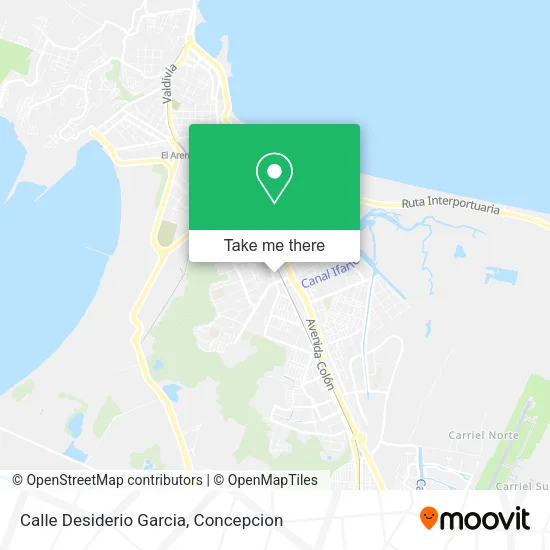 Calle Desiderio Garcia map
