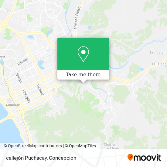 callejón Puchacay map