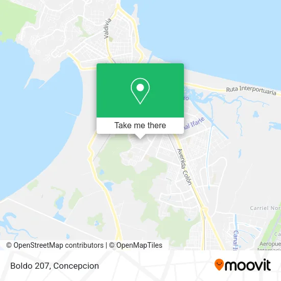 Mapa de Boldo 207