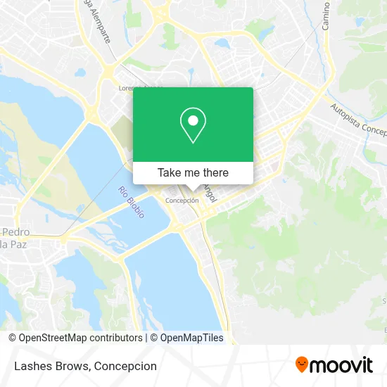 Lashes Brows map