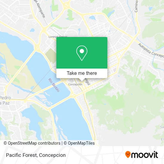 Pacific Forest map