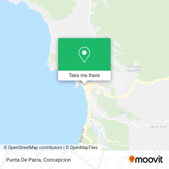 Punta De Parra map