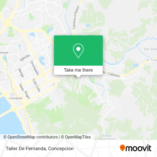 Taller De Fernanda map