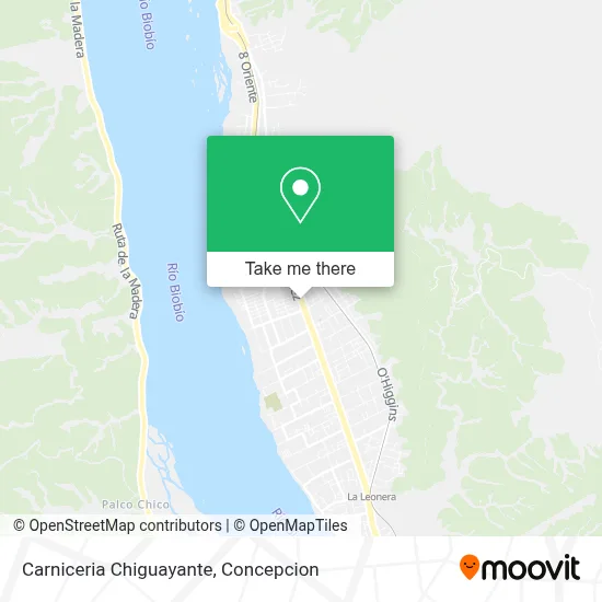 Carniceria Chiguayante map