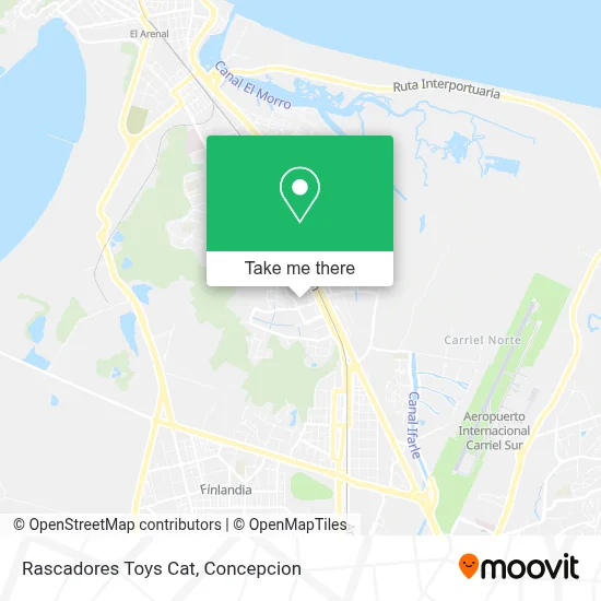 Rascadores Toys Cat map