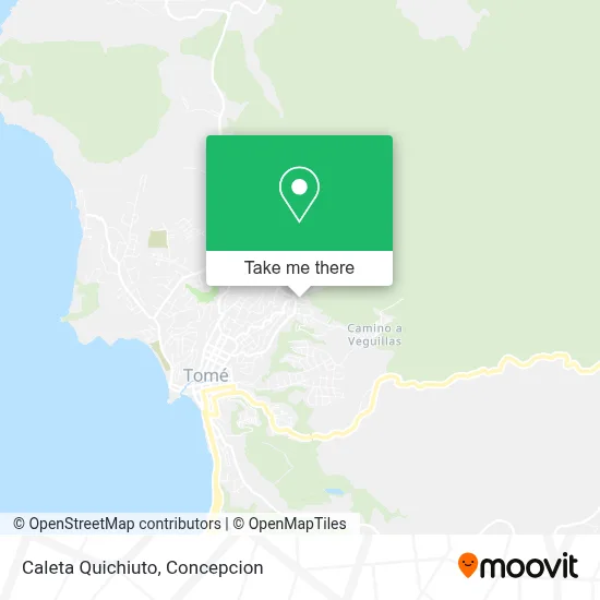 Caleta Quichiuto map