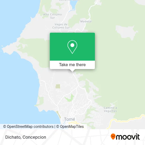 Dichato map
