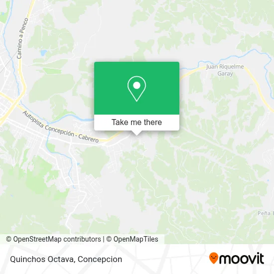 Quinchos Octava map