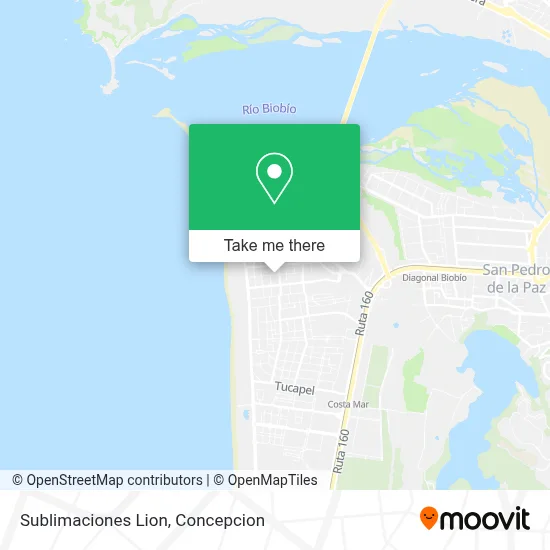 Sublimaciones Lion map