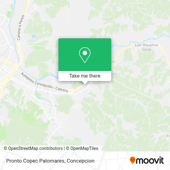 Pronto Copec Palomares map