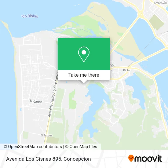 Mapa de Avenida Los Cisnes 895