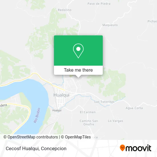 Mapa de Cecosf Hualqui