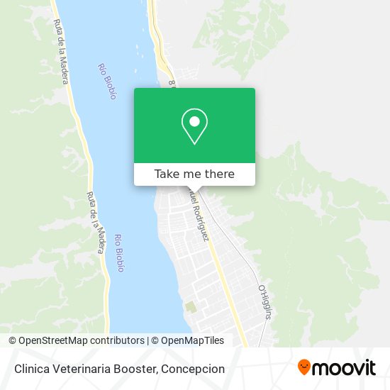 Clinica Veterinaria Booster map