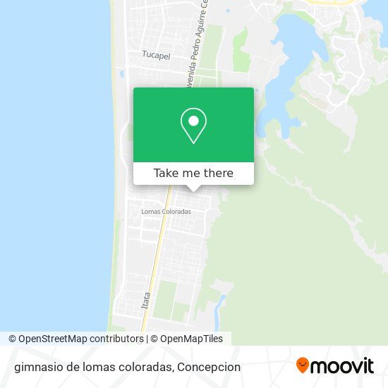 gimnasio de lomas coloradas map