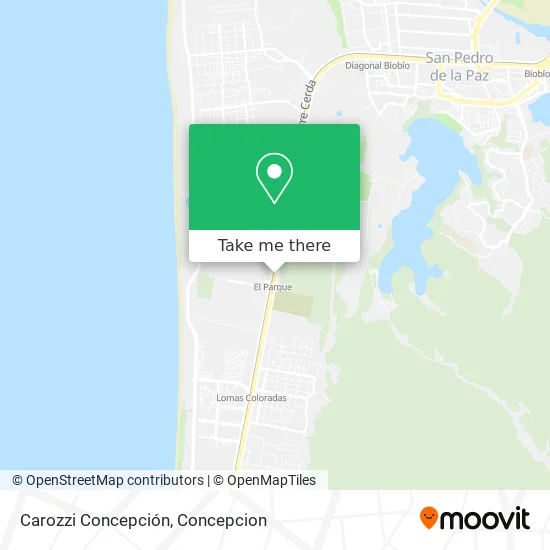 Mapa de Carozzi Concepción
