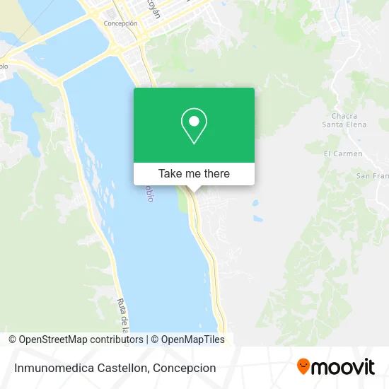 Inmunomedica Castellon map