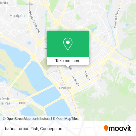 baños turcos Fish map