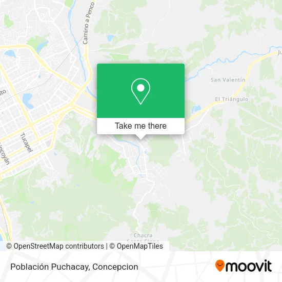 Mapa de Población Puchacay