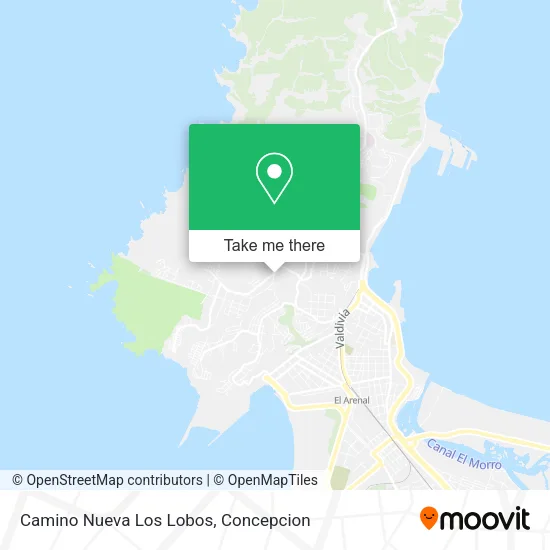 Mapa de Camino Nueva Los Lobos