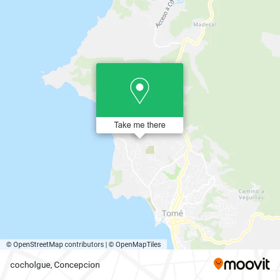Mapa de cocholgue