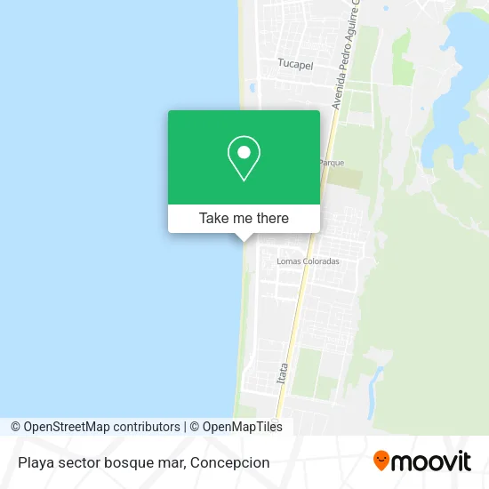 Playa sector bosque mar map
