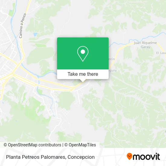 Planta Petreos Palomares map