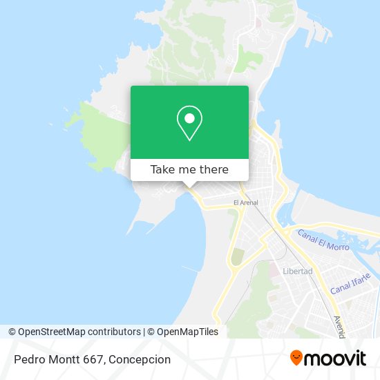 Mapa de Pedro Montt 667