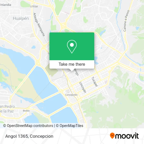 Mapa de Angol 1365