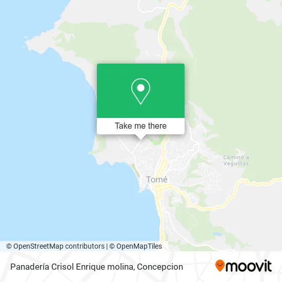 Panadería Crisol Enrique molina map