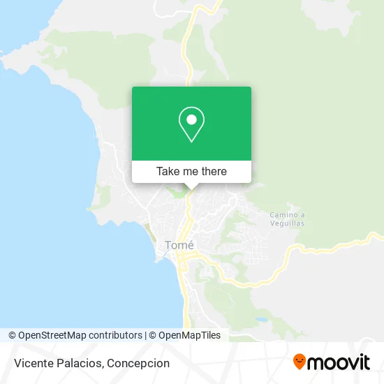 Mapa de Vicente Palacios