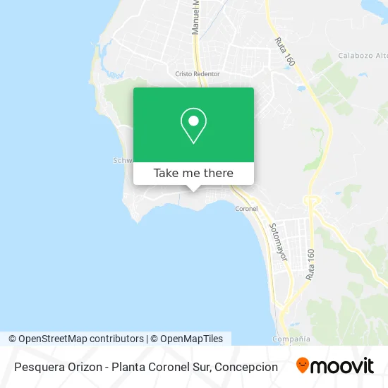 Pesquera Orizon - Planta Coronel Sur map