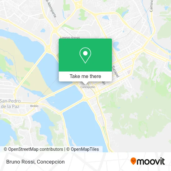 Bruno Rossi map
