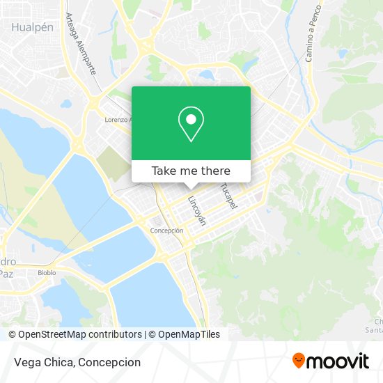 Mapa de Vega Chica