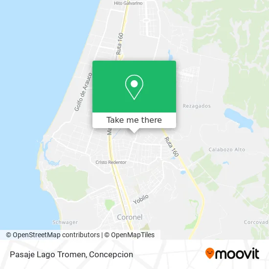 Pasaje Lago Tromen map