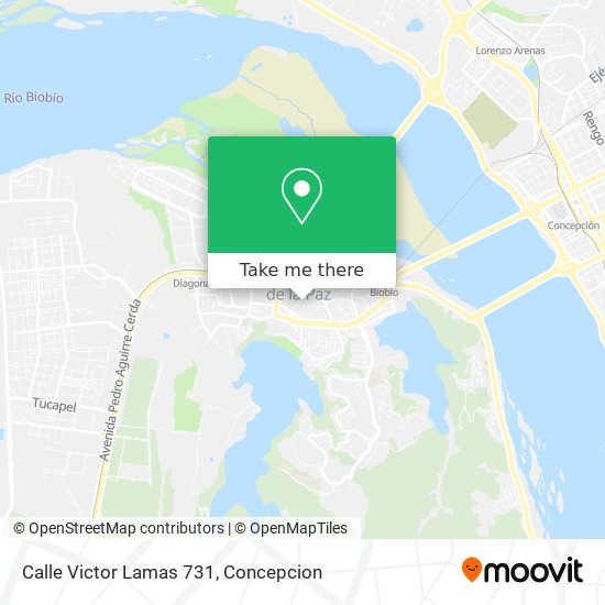 Mapa de Calle Victor Lamas 731