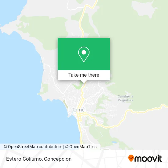 Mapa de Estero Coliumo