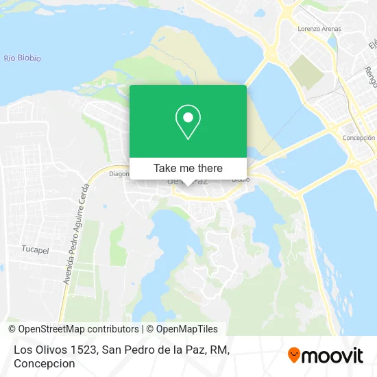 Mapa de Los Olivos 1523, San Pedro de la Paz, RM