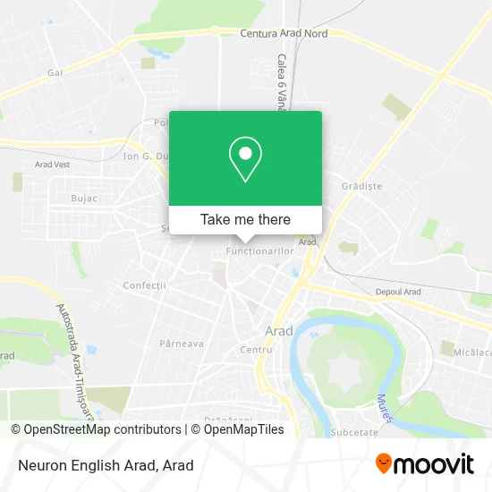Neuron English Arad map