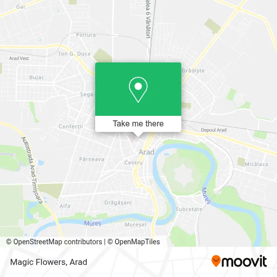 Magic Flowers map