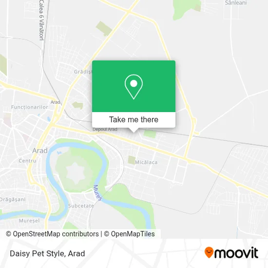Daisy Pet Style map
