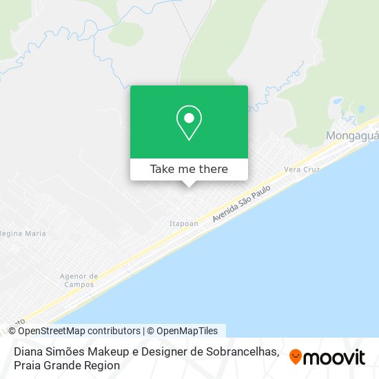 Diana Simões Makeup e Designer de Sobrancelhas map