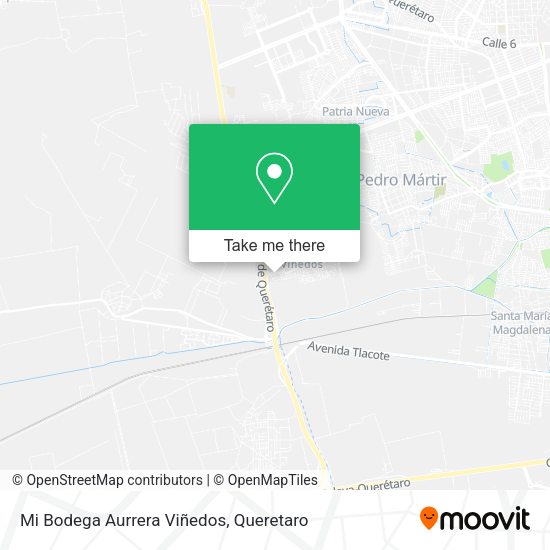 Mapa de Mi Bodega Aurrera Viñedos