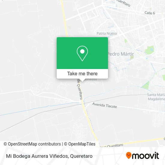 Mapa de Mi Bodega Aurrera Viñedos