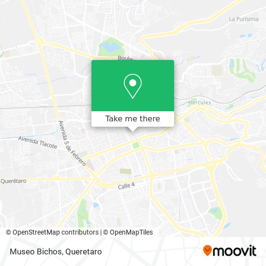 Mapa de Museo Bichos
