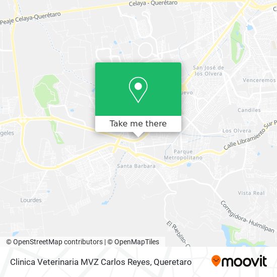 Clinica Veterinaria MVZ Carlos Reyes map
